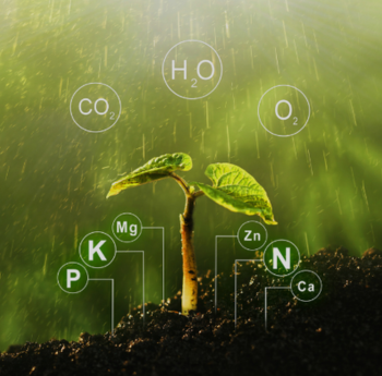 Organic crop cultivation